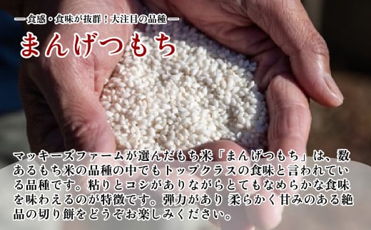 【玄米切り餅】農家の手作り玄米切り餅 約260g × 2袋 計520g（マンゲツモチ米 埼玉県認証特別栽培米） | 餅 モチ 切り餅 白餅 満月餅 おもち 有機 特別栽培米 特別栽培農産物認証 無添加 無着色 正月用 自社農園 農家 なめらか 柔らか 弾力 お正月 埼玉県 東松山市