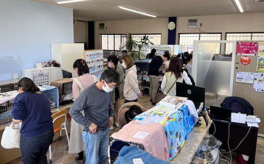 【お礼の品なし】保護猫活動支援〜野良猫から地域で見守るさくら猫に〜 寄付額30,000円