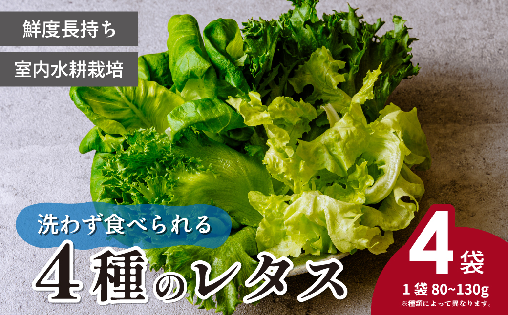 ＜洗わず食べられる・室内水耕栽培＞ 4種のレタス 4袋(80～130g/袋) | レタス フリルレタス グリーンジャケット グリーンリーフ サラダ菜 グリーンオーク 新鮮レタス オーガニック野菜 野菜直送 フレッシュ サラダ用野菜 健康志向 こだわり フレッシュ 産地直送 食品ギフト セット 緑黄色野菜 新鮮 安心野菜 旬 低カロリー レタスボウル カロテン 埼玉県 東松山市