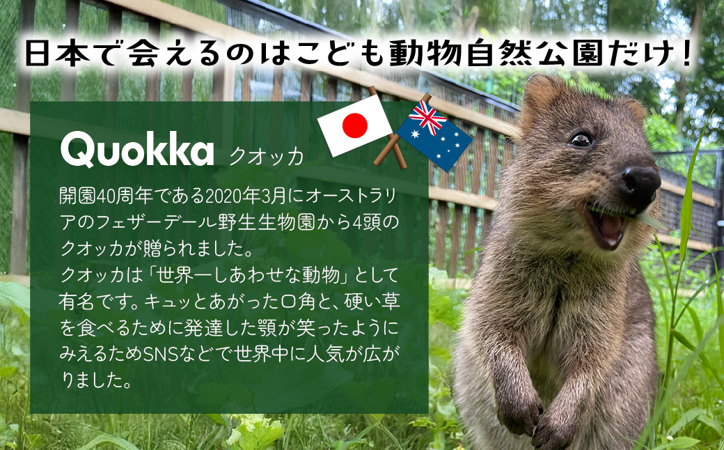 埼玉県こども動物自然公園 ズーホッパーガイド利用券 | 動物園 裏側 見学 子ども こども 子供 家族 家族 ファミリー コアラ クオッカ カンガルー ペンギン 自然体験 幼児 小学生 家族で楽しむ 子供向け 季節 イベント アウトドア アクティビティ 学びの場 入場券 遊び場 日帰り 単身 1人 2人 3人 4人 埼玉県 東松山市