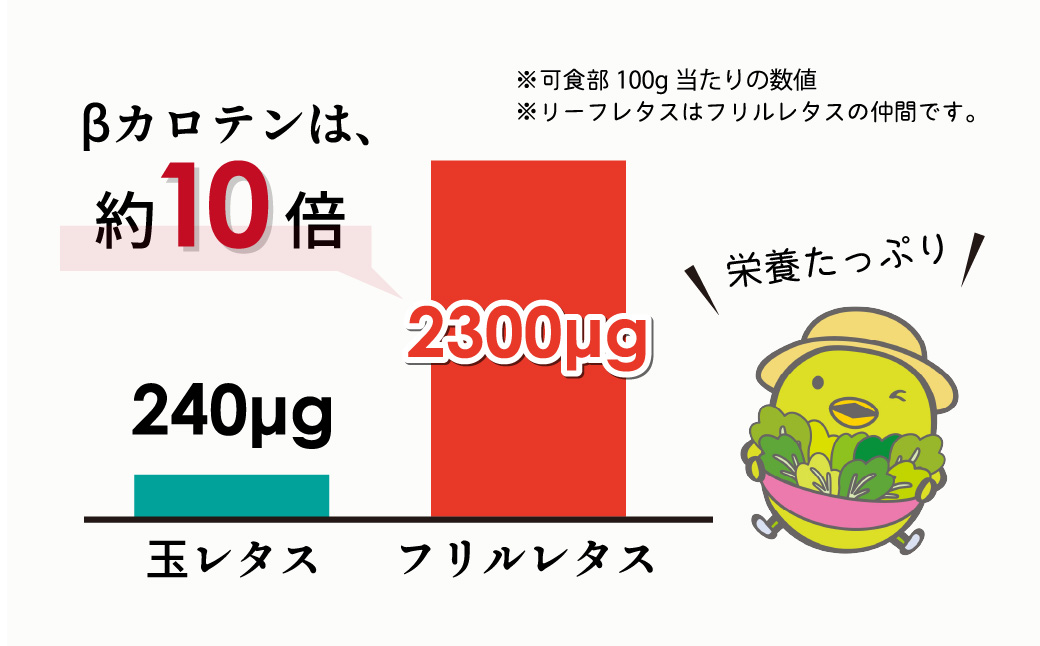 【定期便3ヶ月】 ＜洗わず食べられる・室内水耕栽培＞ フリルレタス 8袋(80～110g/袋)×3ヶ月 計24袋 | レタス 洗わずに食べられる 大容量 新鮮レタス オーガニック野菜 無農薬 野菜直送 フレッシュ サラダ用野菜 健康志向 こだわり フレッシュ 産地直送 食品ギフト セット 緑黄色野菜 新鮮 安心野菜 旬 低カロリー レタスボウル カロテン 定期便 埼玉県 東松山市