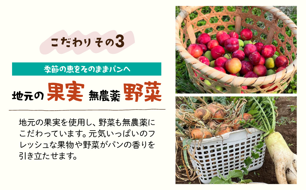 ãæ°ééå®ãå·åãã³ èªç¶é
µæ¯ãã³ ããŸããã»ãã 12ã14å | ãã³ ã±ã å·å é
µæ¯ãã³ åœç£å°éºŠ ã©ã€éºŠãã³ å®å¿ å®å
š æäœã ãªãã€ã¯ äººæ° ç°¡å 倧容é ãããã æ¥æã¡ æç© çºé
µ ç°¡å ç°¡å調ç è©°ãåãã çµã¿åãã ã±ãããã㟠åŒçç æ±æŸå±±åž