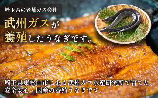 武州うなぎ 国産うなぎ蒲焼 3尾 お手頃サイズ 冷凍真空パック（約300g）【埼玉県 東松山市 母の日 鰻 父の日ウナギ 誕生日プレゼント 鰻の蒲焼き 特選品 美味しいお取り寄せ 贈り物 グルメ 旬 おすすめ 国産 大きいサイズ 選べる 家庭用 ギフト 冷凍真空パック レンジ 御歳暮 お歳暮 贈り物 土用の丑 お祝い 】