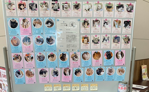 ãã瀌ã®åãªããä¿è·ç«æŽ»åæ¯æŽãéè¯ç«ããå°åã§èŠå®ããããç«ã«ã å¯ä»é¡10,000å