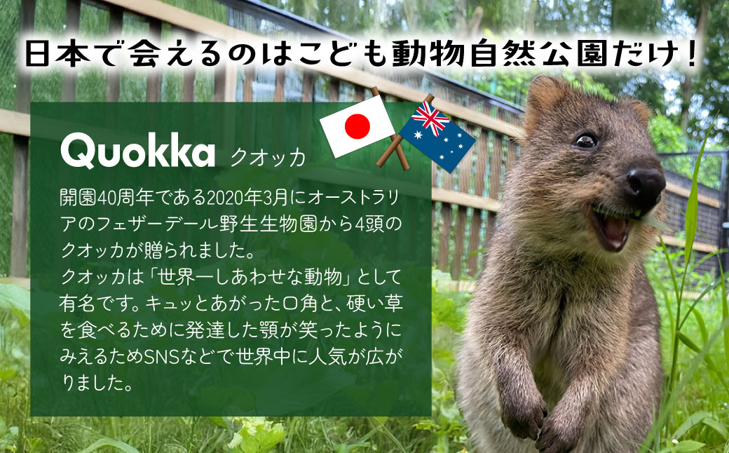 埼玉県こども動物自然公園 年間パスポート引換券 小人2名 | 動物園 年パス 子ども 子供 家族 ファミリー コアラ クオッカ カンガルー ペンギン 自然 小学生 年間利用 イベント アウトドア 入場券 遊び場 日帰り 埼玉県 東松山市