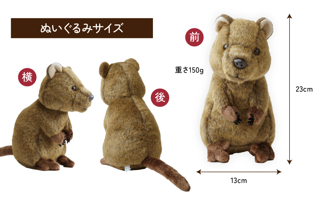 クオッカぬいぐるみ | ぬいぐるみ クオッカ こども動物自然公園 プレゼント オリジナル グッズ ホビー 動物 小サイズ かわいい クオッカグッズ 埼玉県こども自然動物公園 埼玉県 東松山市