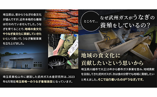 武州うなぎ 国産うなぎ蒲焼 3尾 お手頃サイズ 冷凍真空パック（約300g）【埼玉県 東松山市 母の日 鰻 父の日ウナギ 誕生日プレゼント 鰻の蒲焼き 特選品 美味しいお取り寄せ 贈り物 グルメ 旬 おすすめ 国産 大きいサイズ 選べる 家庭用 ギフト 冷凍真空パック レンジ 御歳暮 お歳暮 贈り物 土用の丑 お祝い 】