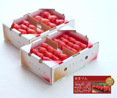 ＜先行予約＞あまりん【4パック】まなこころ・葵（260g【15～20粒】） | 埼玉県 東松山市 いちご イチゴ 苺 中粒 箱 4P 真心農園 特産 新しい 果物 フルーツ 健康 自然 ナチュラル 甘い 美味しい ジューシー ビタミン おいしい おすすめ 贈り物 ギフト