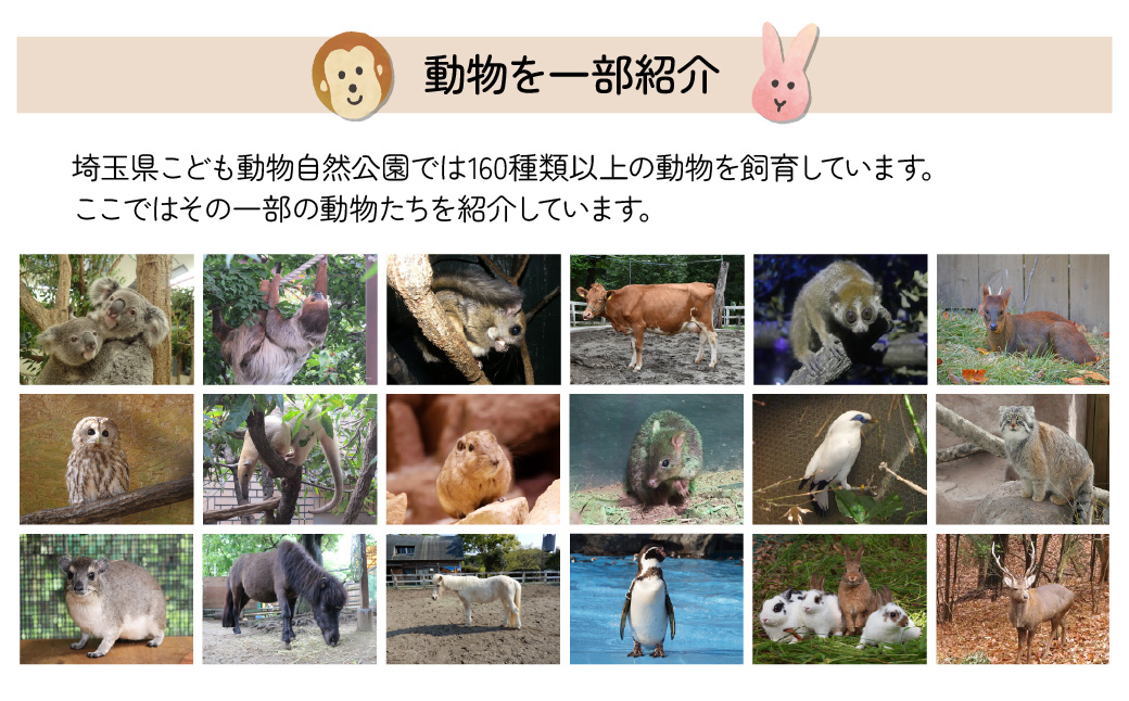 埼玉県こども動物自然公園 年間パスポート引換券 小人2名 | 動物園 年パス 子ども 子供 家族 ファミリー コアラ クオッカ カンガルー ペンギン 自然 小学生 年間利用 イベント アウトドア 入場券 遊び場 日帰り 埼玉県 東松山市