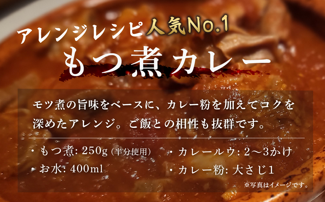 【定期便12ヶ月】国産豚もつ使用！とろけるほど柔らかい究極のもつ煮 500g×2袋 【 厳選 逸品 秘伝 もつ煮 モツ煮 国産 豚 豚肉 もつ モツ もつ煮のまつい 冷蔵 美味しい 】