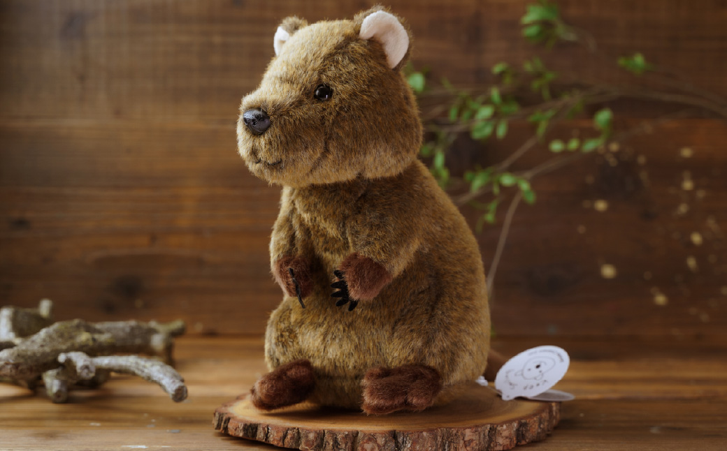 クオッカぬいぐるみ | ぬいぐるみ クオッカ こども動物自然公園 プレゼント オリジナル グッズ ホビー 動物 小サイズ かわいい クオッカグッズ 埼玉県こども自然動物公園 埼玉県 東松山市