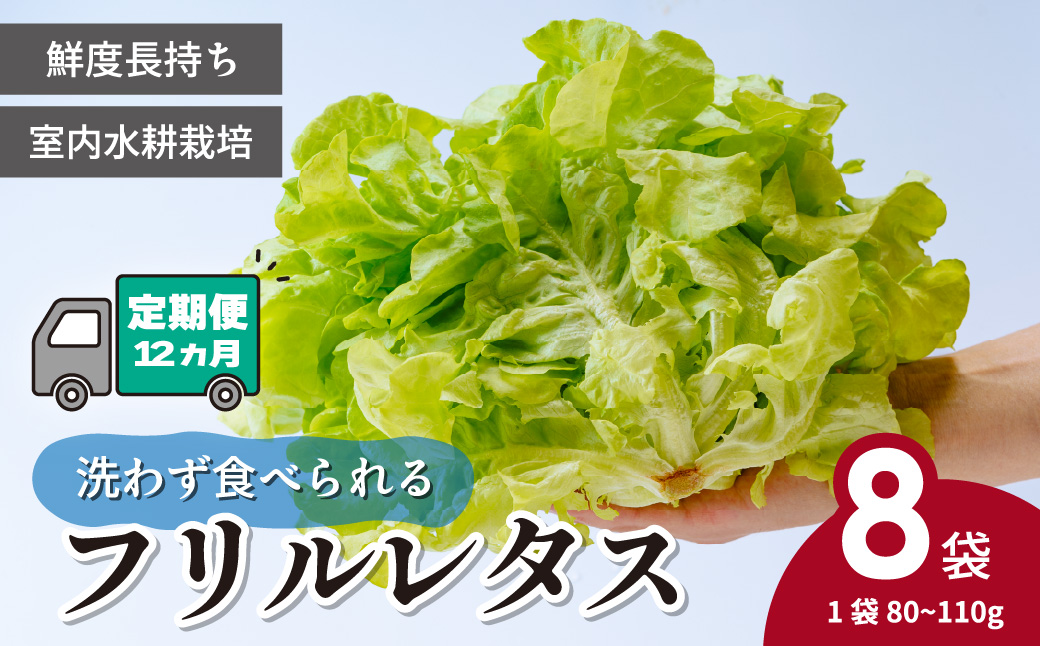 【定期便12ヶ月】 ＜洗わず食べられる・室内水耕栽培＞ フリルレタス 8袋(80～110g/袋)×12ヶ月 計96袋 | レタス 洗わずに食べられる 大容量 新鮮レタス オーガニック野菜 無農薬 野菜直送 フレッシュ サラダ用野菜 健康志向 こだわり フレッシュ 産地直送 食品ギフト セット 緑黄色野菜 新鮮 安心野菜 旬 低カロリー レタスボウル カロテン 定期便12ヶ月 埼玉県 東松山市