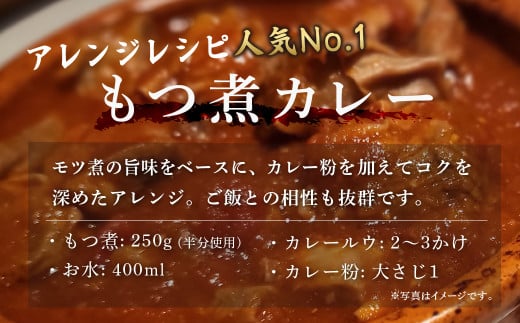 【定期便12ヶ月】国産豚もつ使用！とろけるほど柔らかい究極のもつ煮 2種食べ比べセット 味噌・辛口 各1袋 （各500g×計2袋）【 厳選 逸品 秘伝 もつ煮 モツ煮 国産 豚 豚肉 もつ モツ もつ煮のまつい 食べ比べ 冷蔵 美味しい 】