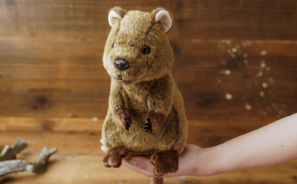 クオッカぬいぐるみ | ぬいぐるみ クオッカ こども動物自然公園 プレゼント オリジナル グッズ ホビー 動物 小サイズ かわいい クオッカグッズ 埼玉県こども自然動物公園 埼玉県 東松山市