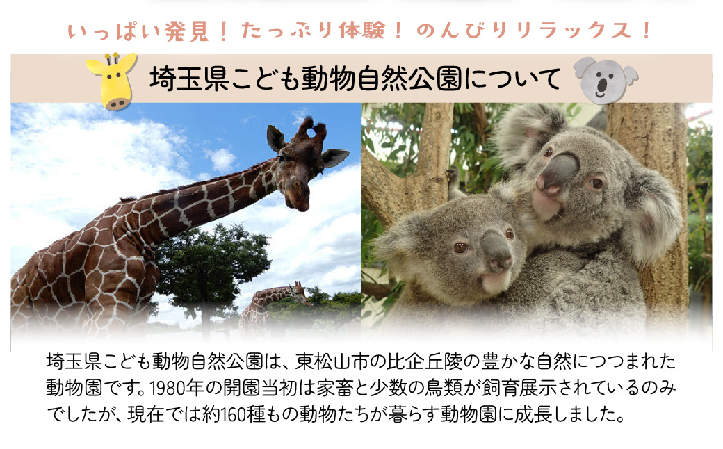 埼玉県こども動物自然公園 年間パスポート引換券 小人2名 | 動物園 年パス 子ども 子供 家族 ファミリー コアラ クオッカ カンガルー ペンギン 自然 小学生 年間利用 イベント アウトドア 入場券 遊び場 日帰り 埼玉県 東松山市