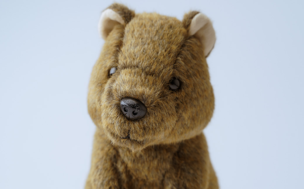 クオッカぬいぐるみ | ぬいぐるみ クオッカ こども動物自然公園 プレゼント オリジナル グッズ ホビー 動物 小サイズ かわいい クオッカグッズ 埼玉県こども自然動物公園 埼玉県 東松山市