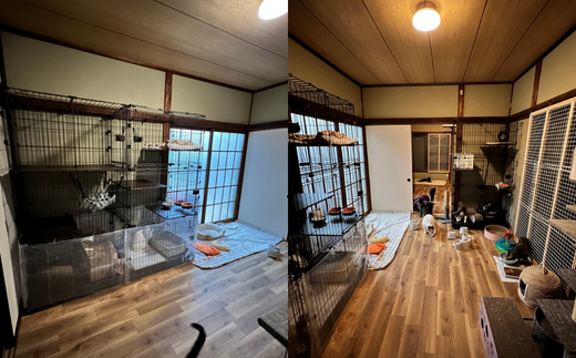 ãã瀌ã®åãªããä¿è·ç«æŽ»åæ¯æŽãéè¯ç«ããå°åã§èŠå®ããããç«ã«ã å¯ä»é¡10,000å