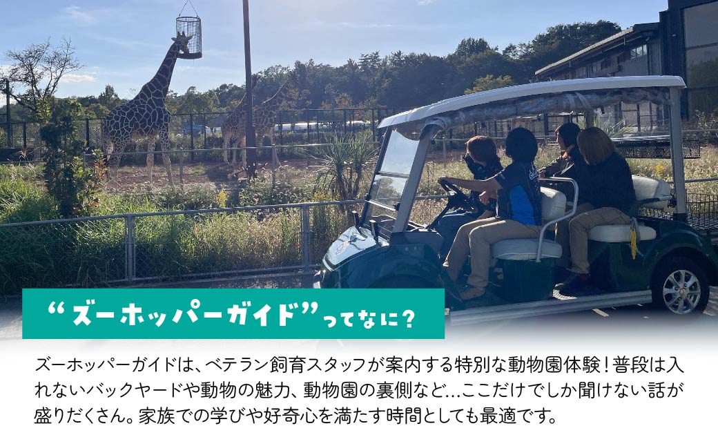 埼玉県こども動物自然公園 ズーホッパーガイド利用券 | 動物園 裏側 見学 子ども こども 子供 家族 家族 ファミリー コアラ クオッカ カンガルー ペンギン 自然体験 幼児 小学生 家族で楽しむ 子供向け 季節 イベント アウトドア アクティビティ 学びの場 入場券 遊び場 日帰り 単身 1人 2人 3人 4人 埼玉県 東松山市