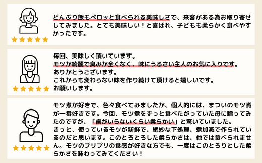 国産豚もつ使用！とろけるほど柔らかい究極のもつ煮 2種食べ比べセット 味噌・辛口 各1袋 （各500g×計2袋）| 厳選 逸品 秘伝 国産 豚 豚肉 もつ モツ まつい 食べ比べ 冷蔵 美味しい