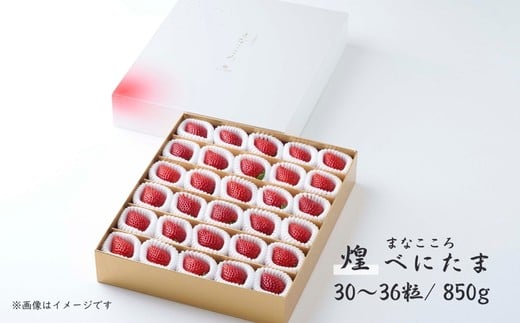 ãå
è¡äºçŽãã¹ã«ã㟠ç¹å¥èŽççš ãŸãªãããã»ç
ïŒ850gã30ïœ36ç²ãïŒ ïœ ã¹ã«ã㟠ããã¿ã ã€ããŽ èº ãã¡ã ãããã æ°é®® ç®± çå¿èŸ²å æç© ãã«ãŒã èªç¶ çã çŸå³ãã ãžã¥ãŒã·ãŒ ãã¿ãã³ ãããã ãããã èŽãç© ã®ãã ãã€ã«ãšã åŒçç æ±æŸå±±åž