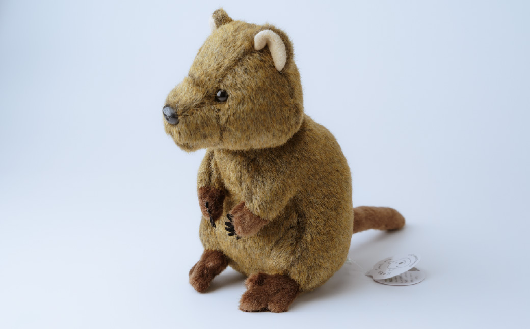 クオッカぬいぐるみ | ぬいぐるみ クオッカ こども動物自然公園 プレゼント オリジナル グッズ ホビー 動物 小サイズ かわいい クオッカグッズ 埼玉県こども自然動物公園 埼玉県 東松山市