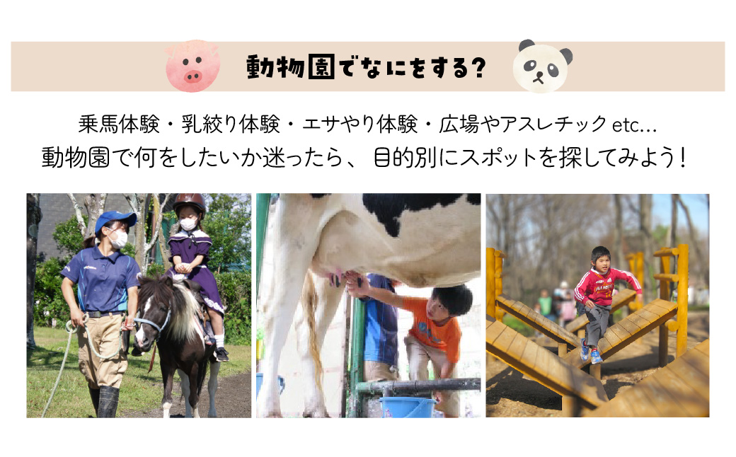埼玉県こども動物自然公園 ズーホッパーガイド利用券 | 動物園 裏側 見学 子ども こども 子供 家族 家族 ファミリー コアラ クオッカ カンガルー ペンギン 自然体験 幼児 小学生 家族で楽しむ 子供向け 季節 イベント アウトドア アクティビティ 学びの場 入場券 遊び場 日帰り 単身 1人 2人 3人 4人 埼玉県 東松山市