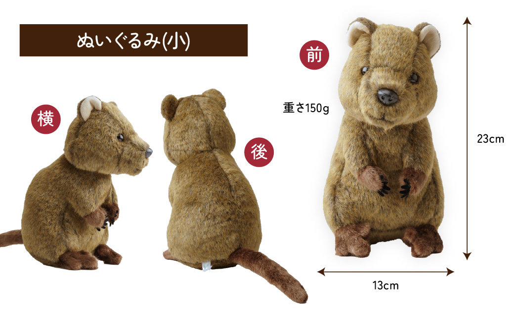 クオッカぬいぐるみ＆ストラップセット | ぬいぐるみ キーホルダー ストラップ クオッカ こども動物自然公園 プレゼント オリジナル グッズ ホビー 動物 かわいい クオッカグッズ 埼玉県こども自然動物公園 埼玉県 東松山市