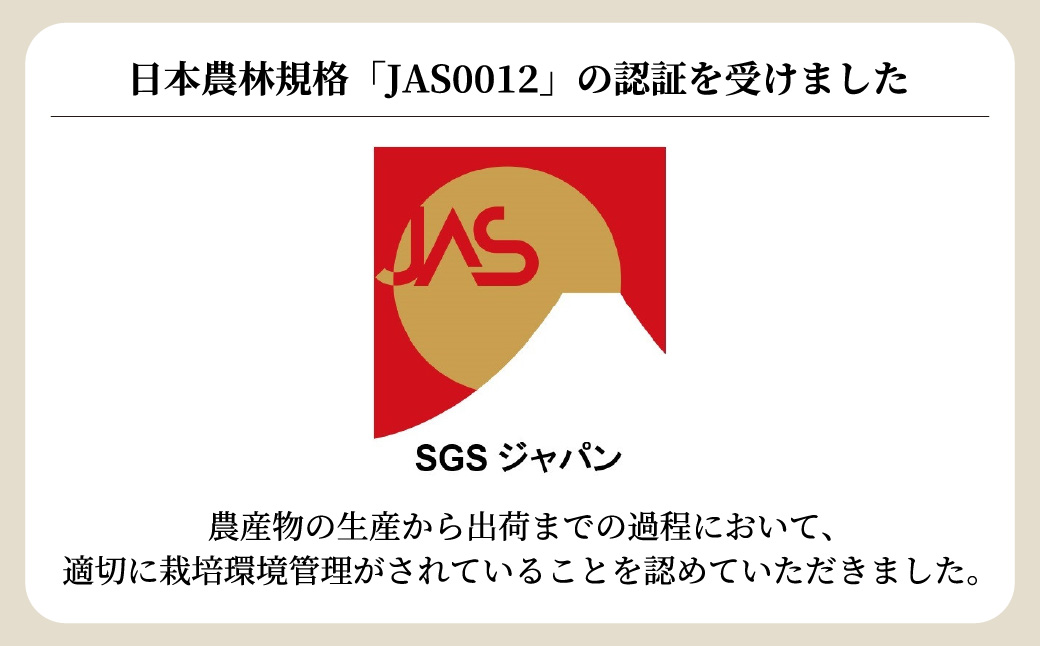 ＜洗わず食べられる・室内水耕栽培＞ フリルレタス 4袋(80～110g/袋) | レタス 洗わずに食べられる 新鮮レタス オーガニック野菜 無農薬 野菜直送 フレッシュ サラダ用野菜 健康志向 こだわり フレッシュ 産地直送 食品ギフト セット 緑黄色野菜 新鮮 安心野菜 旬 低カロリー レタスボウル カロテン 埼玉県 東松山市