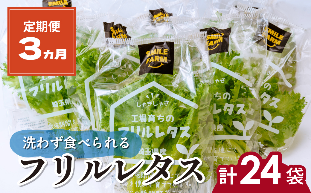 【定期便3ヶ月】 ＜洗わず食べられる・室内水耕栽培＞ フリルレタス 8袋(80～110g/袋)×3ヶ月 計24袋 | レタス 洗わずに食べられる 大容量 新鮮レタス オーガニック野菜 無農薬 野菜直送 フレッシュ サラダ用野菜 健康志向 こだわり フレッシュ 産地直送 食品ギフト セット 緑黄色野菜 新鮮 安心野菜 旬 低カロリー レタスボウル カロテン 定期便 埼玉県 東松山市