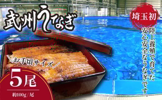武州うなぎ 国産うなぎ蒲焼 5尾 お手頃サイズ 冷凍真空パック（約500g）【埼玉県 東松山市 母の日 鰻 父の日ウナギ 大容量 誕生日プレゼント 鰻の蒲焼き 特選品 美味しいお取り寄せ 贈り物 グルメ 旬 おすすめ 国産 大きいサイズ 選べる 家庭用 ギフト 冷凍真空パック レンジ 御歳暮 お歳暮 贈り物 土用の丑 お祝い 】