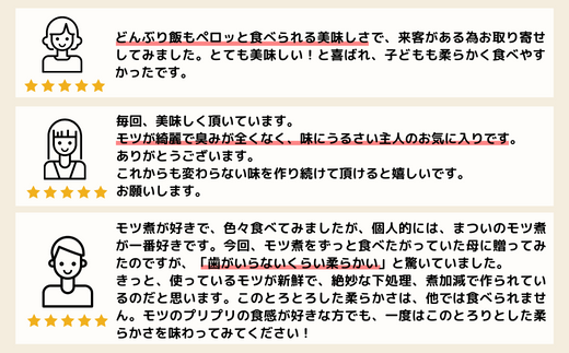 国産豚もつ使用！とろけるほど柔らかい究極のもつ煮 辛口 500g×1袋 【 厳選 逸品 秘伝 もつ煮 モツ煮 国産 豚 豚肉 もつ モツ もつ煮のまつい 冷蔵 美味しい 】 