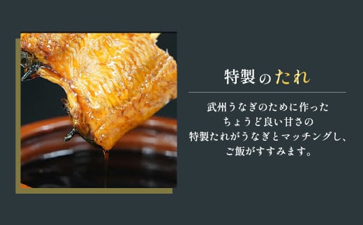 武州うなぎ 国産うなぎ蒲焼 5尾 中サイズ 冷凍真空パック（約600g）【埼玉県 東松山市 母の日 鰻 父の日ウナギ 大容量 誕生日プレゼント 鰻の蒲焼き 特選品 美味しいお取り寄せ 贈り物 グルメ 旬 おすすめ 国産 大きいサイズ 選べる 家庭用 ギフト 冷凍真空パック レンジ 御歳暮 お歳暮 贈り物 土用の丑 お祝い 】