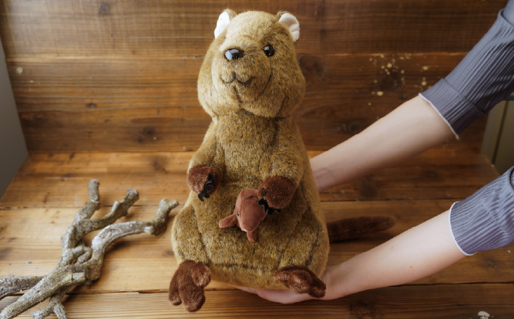 クオッカぬいぐるみ＆ストラップセット | ぬいぐるみ キーホルダー ストラップ クオッカ こども動物自然公園 プレゼント オリジナル グッズ ホビー 動物 かわいい クオッカグッズ 埼玉県こども自然動物公園 埼玉県 東松山市