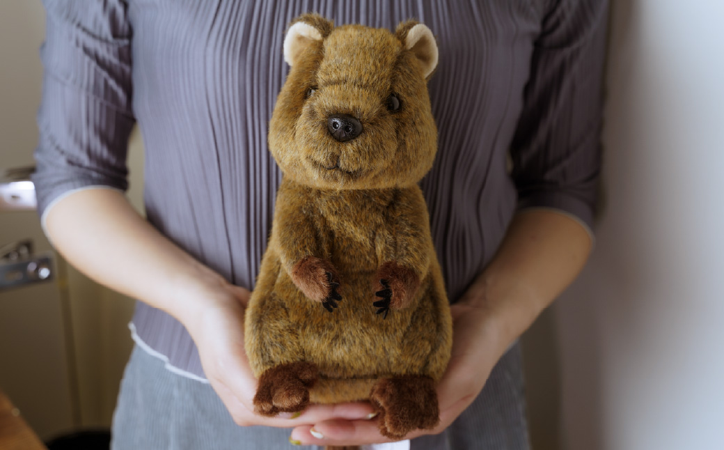 クオッカぬいぐるみ | ぬいぐるみ クオッカ こども動物自然公園 プレゼント オリジナル グッズ ホビー 動物 小サイズ かわいい クオッカグッズ 埼玉県こども自然動物公園 埼玉県 東松山市