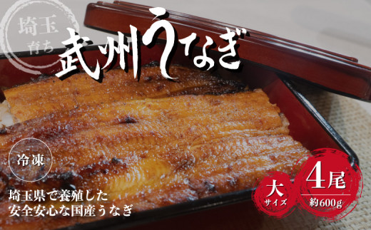 武州うなぎ 国産うなぎ蒲焼 4尾 大サイズ 冷凍真空パック（約600g）【埼玉県 東松山市 母の日 鰻 父の日ウナギ 大容量 誕生日プレゼント 鰻の蒲焼き 特選品 美味しいお取り寄せ 贈り物 グルメ 旬 おすすめ 国産 大きいサイズ 選べる 家庭用 ギフト 冷凍真空パック レンジ 御歳暮 お歳暮 贈り物 土用の丑 お祝い 】