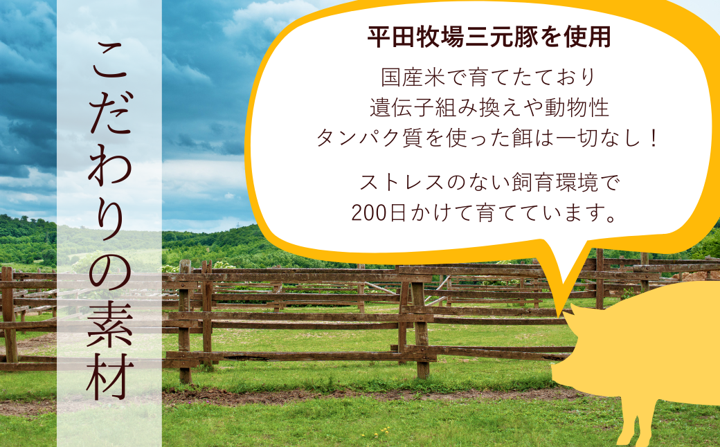 東松山名物みそだれ風味バラエティーグルメセット 【 餃子 ハンバーグ メンチカツ 東松山 】