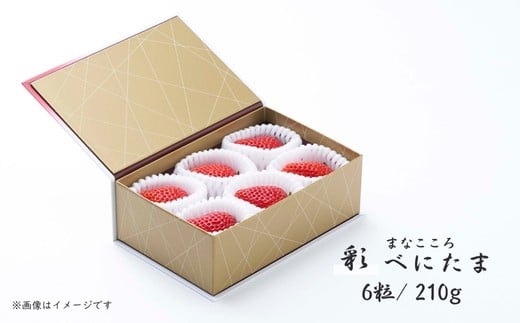 ãå
è¡äºçŽãã¹ã«ã㟠ç¹å¥å³éž ãŸãªãããã»åœ©ïŒ210gã6ç²ãïŒ ïœ ã¹ã«ã㟠ããã¿ã ã€ããŽ èº ãã¡ã æ°é®® å€§ç² ç®± çå¿èŸ²å æç© ãã«ãŒã èªç¶ çã çŸå³ãã ãžã¥ãŒã·ãŒ ãã¿ãã³ ãããã ãããã èŽãç© ã®ãã åŒçç æ±æŸå±±åž