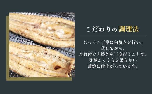 武州うなぎ 国産うなぎ蒲焼 3尾 お手頃サイズ 冷凍真空パック（約300g）【埼玉県 東松山市 母の日 鰻 父の日ウナギ 誕生日プレゼント 鰻の蒲焼き 特選品 美味しいお取り寄せ 贈り物 グルメ 旬 おすすめ 国産 大きいサイズ 選べる 家庭用 ギフト 冷凍真空パック レンジ 御歳暮 お歳暮 贈り物 土用の丑 お祝い 】