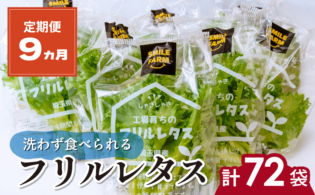 【定期便9ヶ月】 ＜洗わず食べられる・室内水耕栽培＞ フリルレタス 8袋(80～110g/袋)×9ヶ月 計72袋 | レタス 洗わずに食べられる 大容量 新鮮レタス オーガニック野菜 無農薬 野菜直送 フレッシュ サラダ用野菜 健康志向 こだわり フレッシュ 産地直送 食品ギフト セット 緑黄色野菜 新鮮 安心野菜 旬 低カロリー レタスボウル カロテン 定期便 埼玉県 東松山市