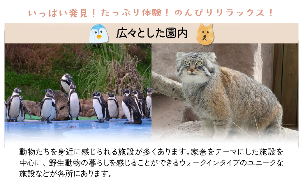 埼玉県こども動物自然公園 年間パスポート引換券 小人2名 | 動物園 年パス 子ども 子供 家族 ファミリー コアラ クオッカ カンガルー ペンギン 自然 小学生 年間利用 イベント アウトドア 入場券 遊び場 日帰り 埼玉県 東松山市