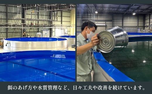 武州うなぎ 国産うなぎ蒲焼 3尾 中サイズ 冷凍真空パック（約360g）【埼玉県 東松山市 母の日 鰻 父の日ウナギ 大容量 誕生日プレゼント 鰻の蒲焼き 特選品 美味しいお取り寄せ 贈り物 グルメ 旬 おすすめ 国産 大きいサイズ 選べる 家庭用 ギフト 冷凍真空パック レンジ 御歳暮 お歳暮 贈り物 土用の丑 お祝い 】