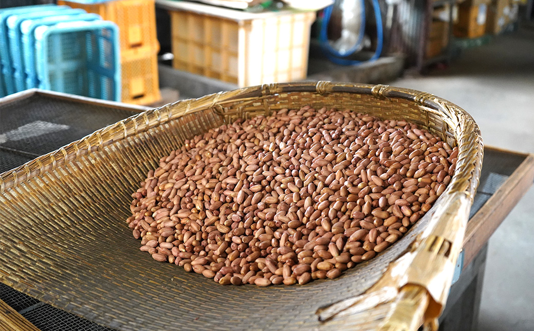 塩ゆで落花生 14袋 約110g/袋 計約1540g | 落花生 塩茹で 塩ゆでピーナッツ ピーナッツ おつまみ ナッツ類 栄養 たんぱく質 食物繊維 タンパク質 コレステロール お菓子 コーヒータイム お酒 ギフト プレゼント おすそ分け 贈答用 手土産 ネイブルホリコシ 埼玉県 東松山市