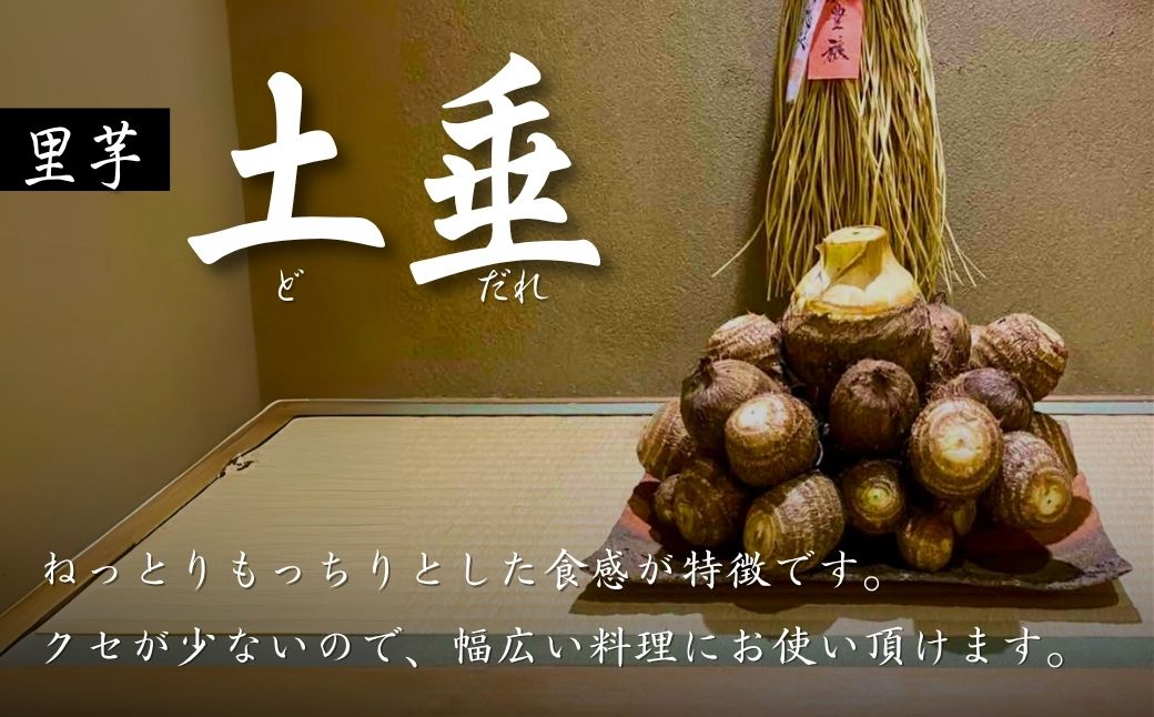 里芋 狭山市で採れた土付き里芋「土垂」 約5kg | 里芋 里いも サトイモ 芋 いも イモ 野菜 やさい 根菜 農産物 新鮮 ねっとり もっちり もちもち やわらか 産地直送 農家直送 数量限定 国産 煮っころがし 人気 おすすめ さやま里芋増産倶楽部 埼玉県 狭山市