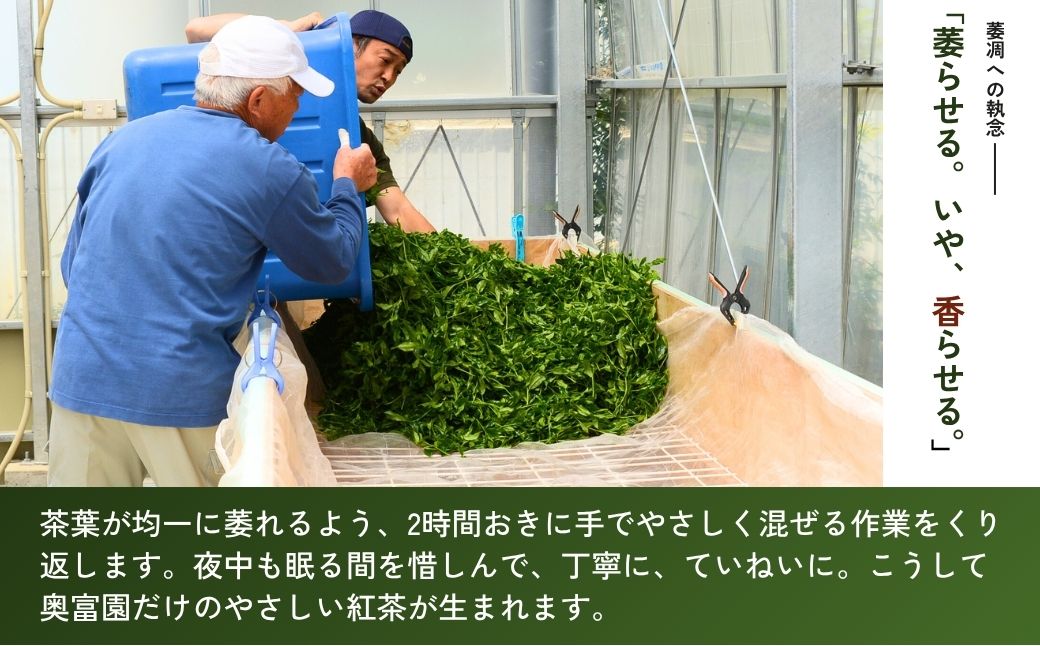 和紅茶 3種×2袋 あんず紅茶 アールグレイ 狭山紅茶 | 和紅茶 紅茶 ティーバッグ 狭山茶 お茶 茶 ティー tea 国産 あんず アールグレイ ギフト プレゼント 贈り物 贈答 奥富園 埼玉県 狭山市