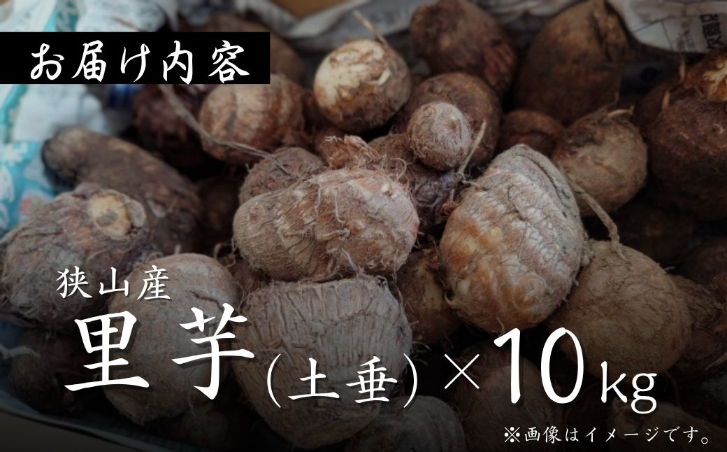 里芋 狭山市で採れた土付き里芋「土垂」 約10kg | 里芋 里いも サトイモ 芋 いも イモ 野菜 やさい 根菜 農産物 新鮮 ねっとり もっちり もちもち やわらか 産地直送 農家直送 数量限定 国産 煮っころがし 人気 おすすめ さやま里芋増産倶楽部 埼玉県 狭山市