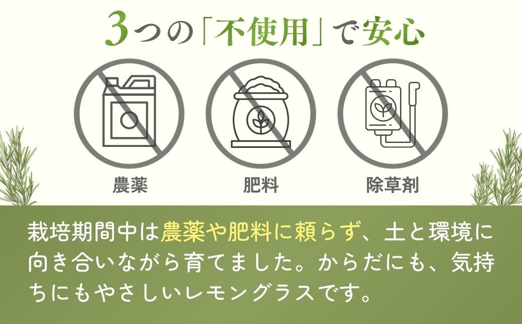 アロマ 狭山のレモングラス アロマスプレー 2本セット |  レモングラス ハーブ アロマ スプレー アロマスプレー アロマオイル フレグランス リラックス リフレッシュ 精油 国産 レモングラスおじさんのハーブ工房 埼玉県 狭山市