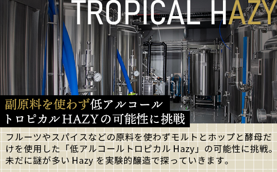 No.369 HAZY LABOの350ml缶おまかせ6本セット