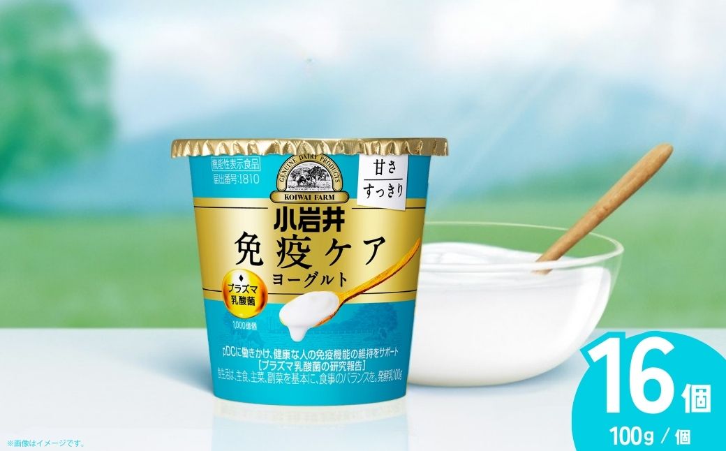 小岩井乳業 免疫ケアヨーグルト甘さすっきり 100g×16個 | ヨーグルト 乳製品 発酵食品 機能性表示食品 プラズマ乳酸菌 免疫 免疫維持 埼玉県 狭山市