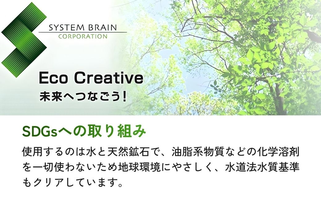 カーコーティング ナノシャイン L6000mm H2300mm未満 | カーコーティング かーこーてぃんぐ ガラスカーコーティング がらすかーこーてぃんぐ コーティング こーてぃんぐ 車 クルマ くるま 自動車 カーメンテ カーメンテナンス メンテナンス ガラス コーティング カーボディ 超薄膜 チケット 関東 株式会社システムブレイン 埼玉県 狭山市