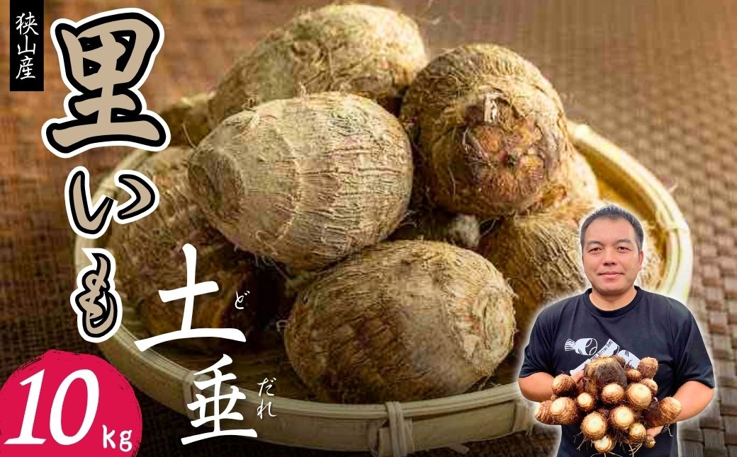 里芋 狭山市で採れた土付き里芋「土垂」 約10kg | 里芋 里いも サトイモ 芋 いも イモ 野菜 やさい 根菜 農産物 新鮮 ねっとり もっちり もちもち やわらか 産地直送 農家直送 数量限定 国産 煮っころがし 人気 おすすめ さやま里芋増産倶楽部 埼玉県 狭山市